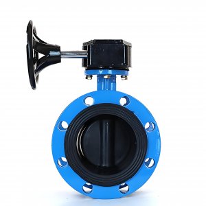 法蘭式蝸輪蝸桿蝶閥DN125，1.6Mpa橡膠密封